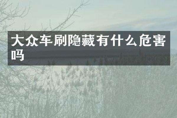 大众车刷隐藏有什么危害吗