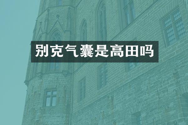 别克气囊是高田吗
