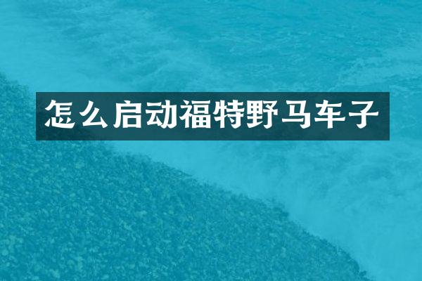 怎么启动福特野马车子