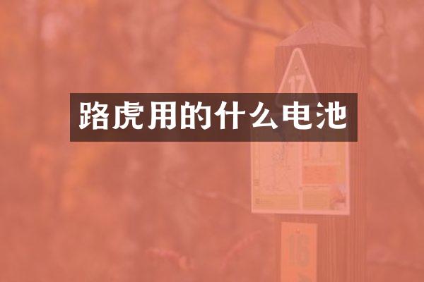 路虎用的什么电池