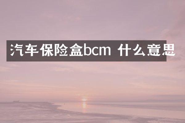 汽车保险盒bcm 什么意思