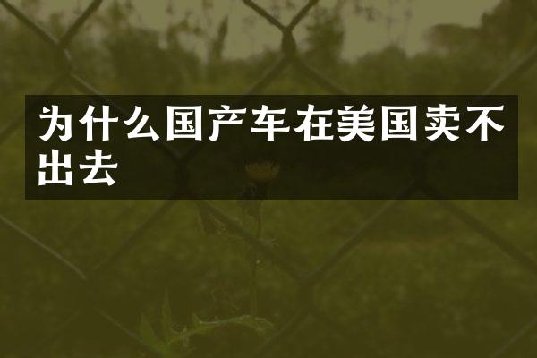 为什么国产车在美国卖不出去