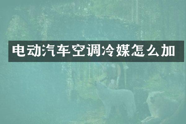 电动汽车空调冷媒怎么加