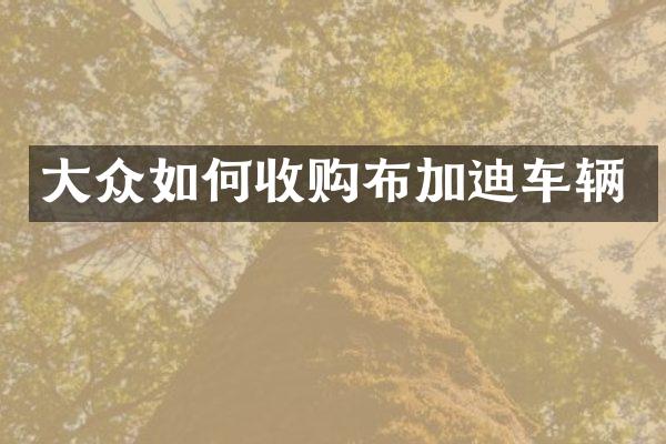 大众如何收购布加迪车辆