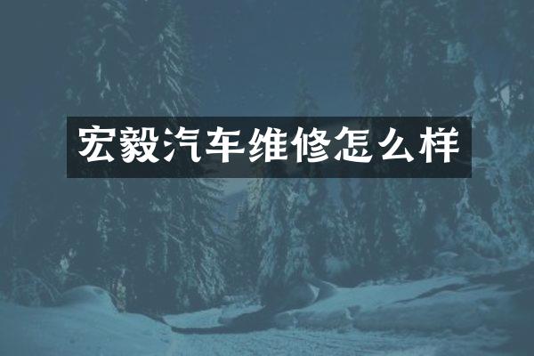 宏毅汽车维修怎么样