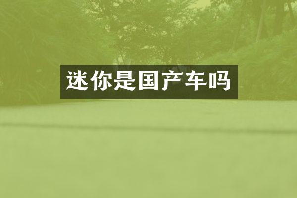 迷你是国产车吗