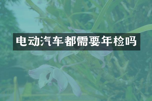 电动汽车都需要年检吗