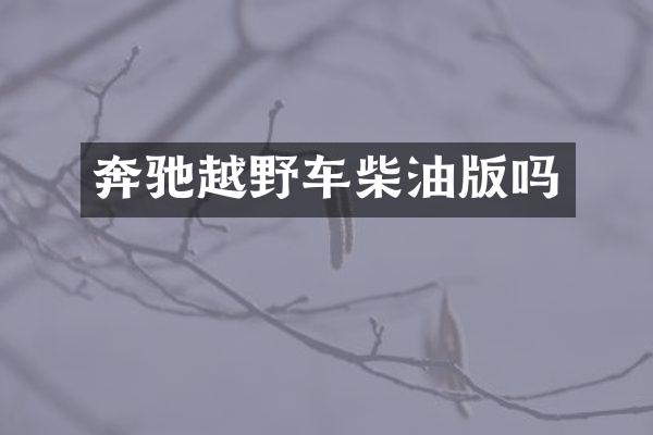 奔驰越野车柴油版吗