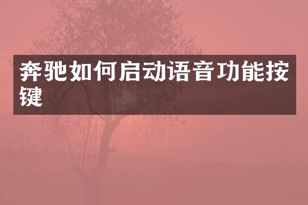 奔驰如何启动语音功能按键