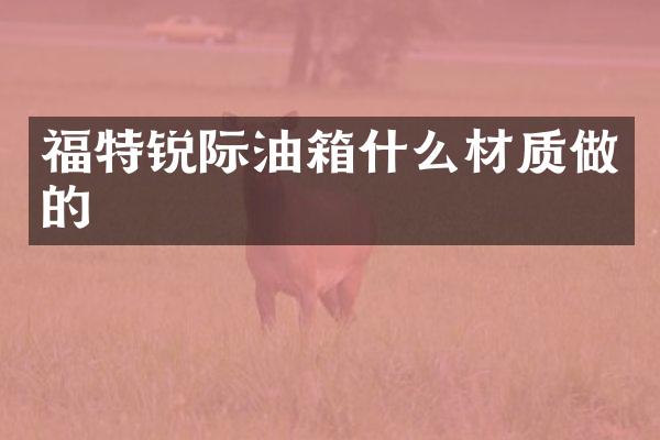福特锐际油箱什么材质做的