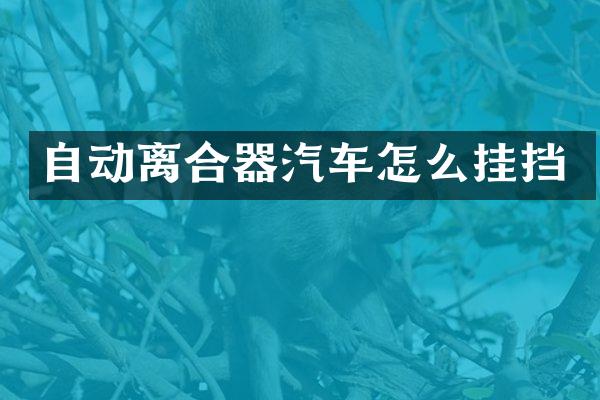 自动离合器汽车怎么挂挡