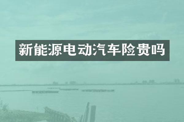 新能源电动汽车险贵吗