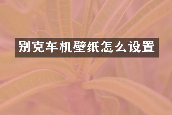 别克车机壁纸怎么设置