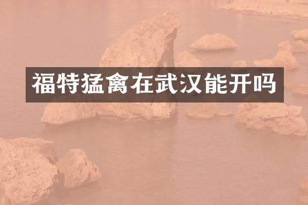 福特猛禽在武汉能开吗