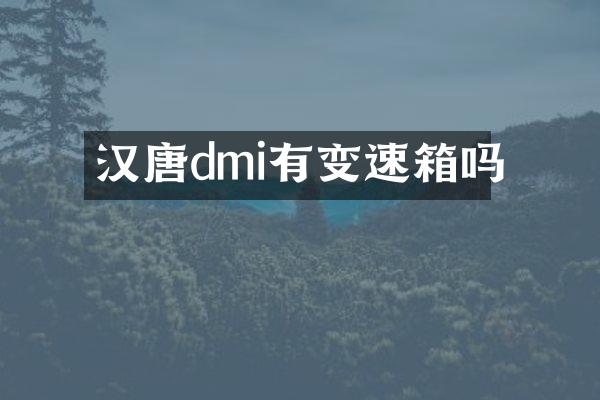 汉唐dmi有变速箱吗