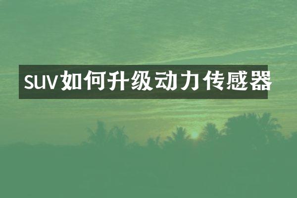 suv如何升级动力传感器