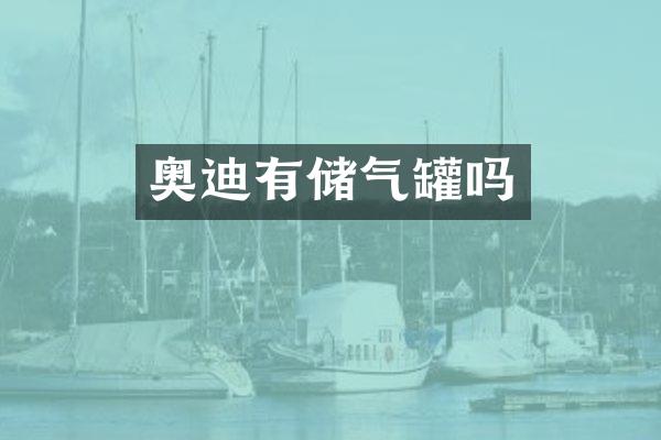 奥迪有储气罐吗