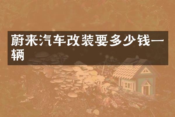 蔚来汽车改装要多少钱一辆
