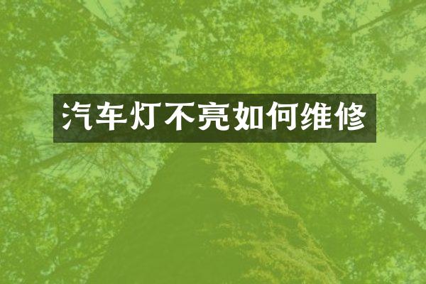 汽车灯不亮如修
