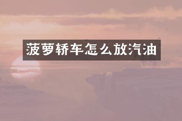 菠萝轿车怎么放汽油