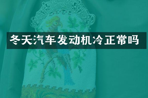 冬天汽车发动机冷正常吗