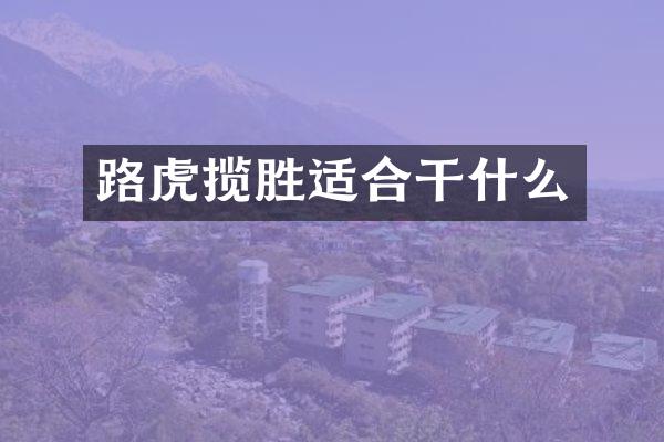路虎揽胜适合干什么