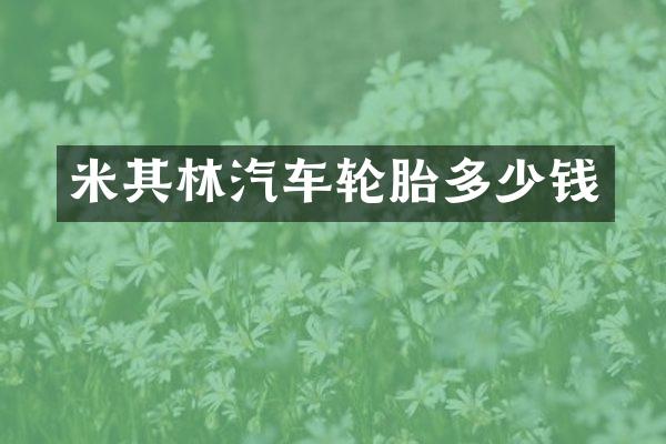 米其林汽车轮胎多少钱