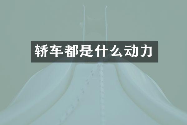轿车都是什么动力