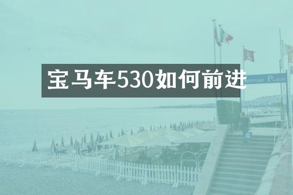 宝马车530如何前进
