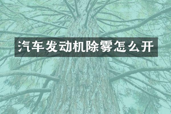 汽车发动机除雾怎么开