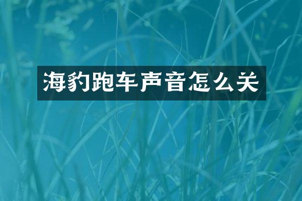 海豹跑车声音怎么关