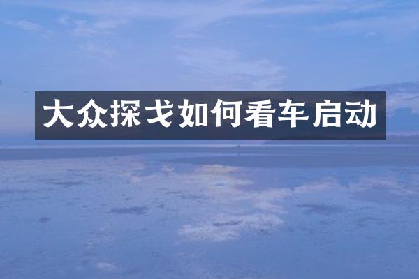 大众探戈如何看车启动