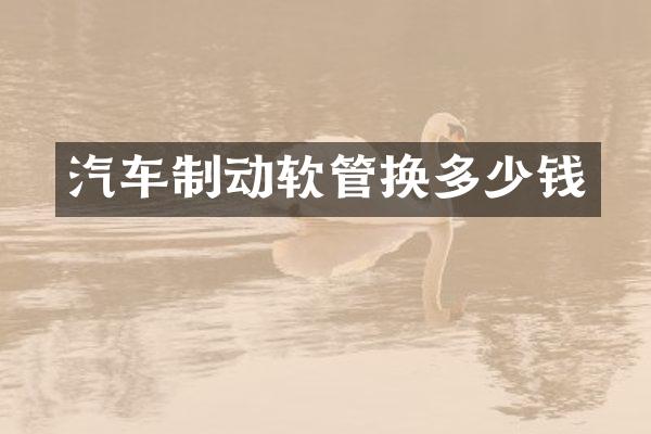 汽车制动软管换多少钱