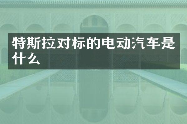 特斯拉对标的电动汽车是什么