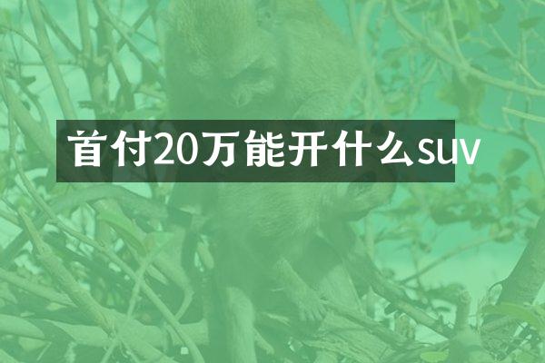 首付20万能开什么suv