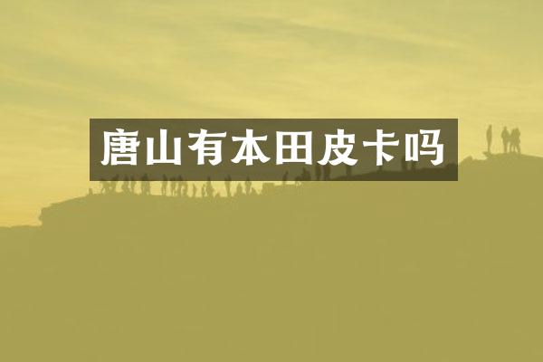 唐山有本田皮卡吗