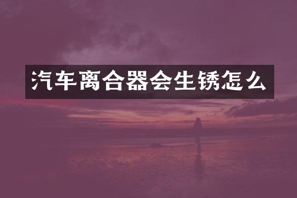 汽车离合器会生锈怎么