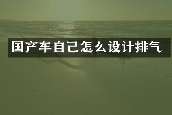 国产车自己怎么设计排气