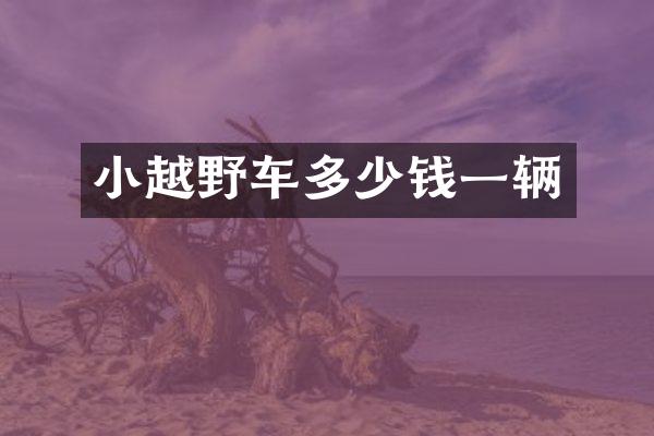 小越野车多少钱一辆