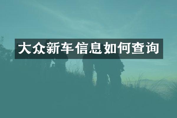 大众新车信息如何查询