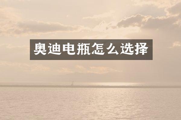 奥迪电瓶怎么选择