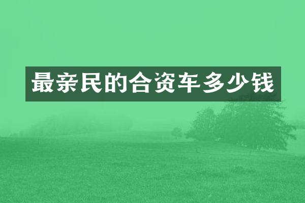最亲民的合资车多少钱