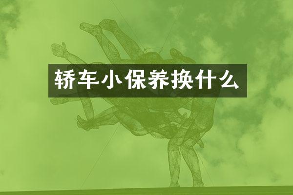 轿车小保养换什么
