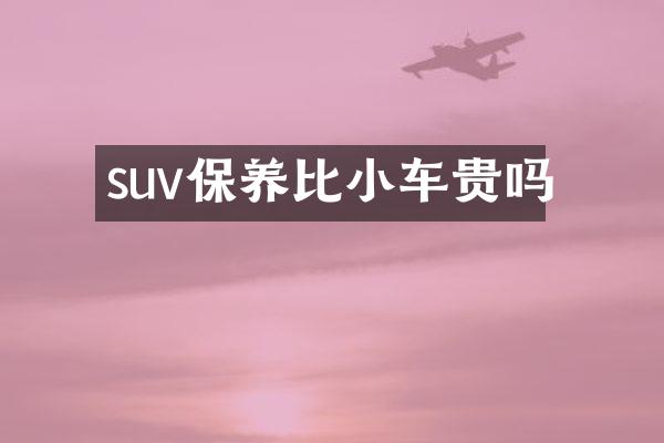 suv保养比小车贵吗