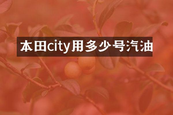 本田city用多少号汽油