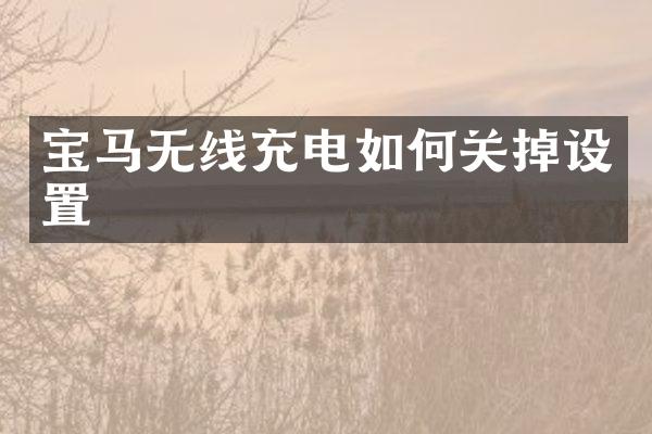 宝马无线充电如何关掉设置