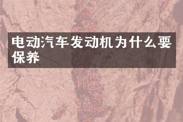 电动汽车发动机为什么要保养