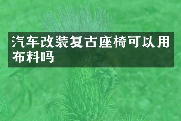 汽车改装复古座椅可以用布料吗