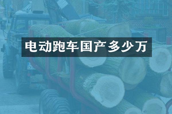 电动跑车国产多少万