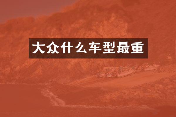 大众什么车型最重